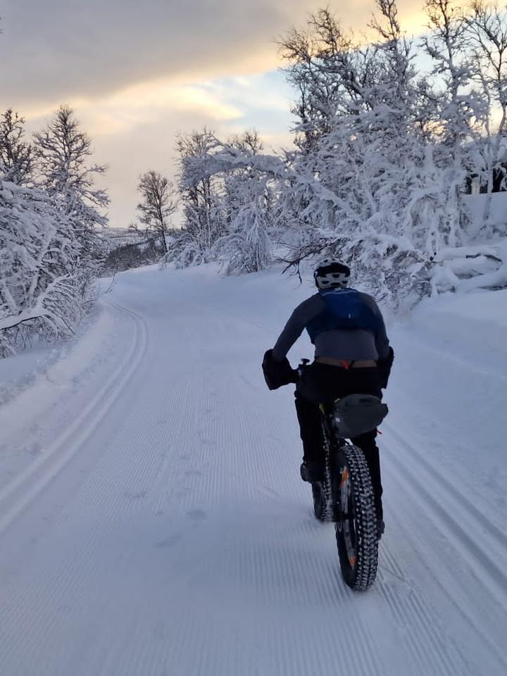 Rob Wilkinson riding a fat bike through snow-laden trees